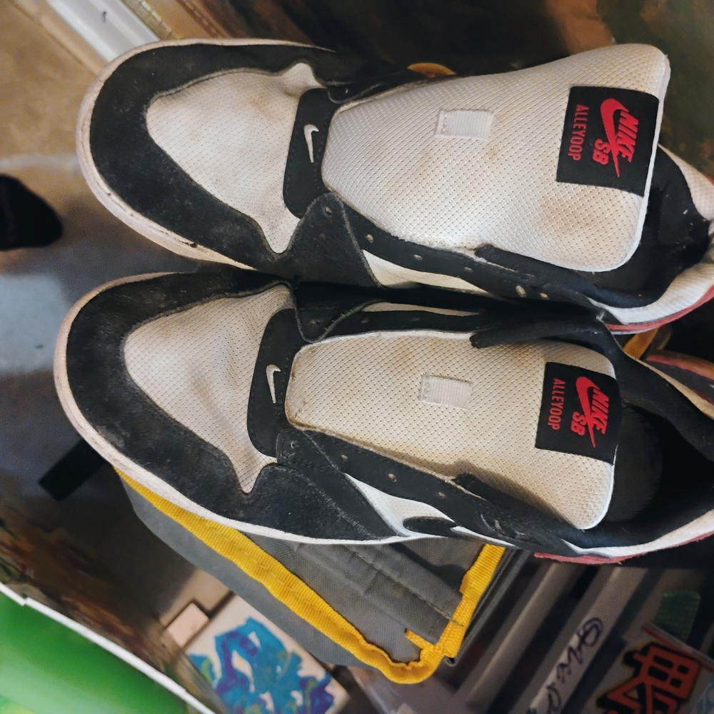 Nike SB Alleyoop Black and White Sneakers